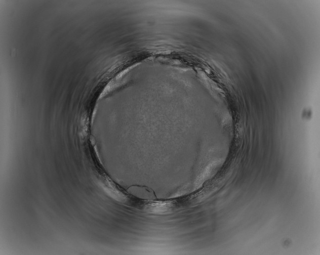 X0000098130081200805011330