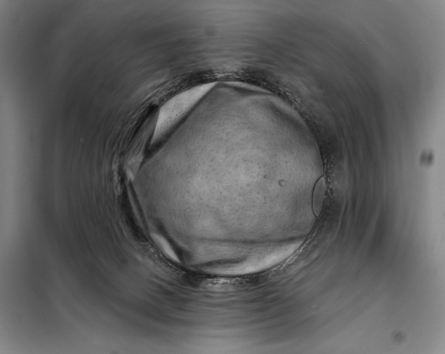 X0000098130082200805011330