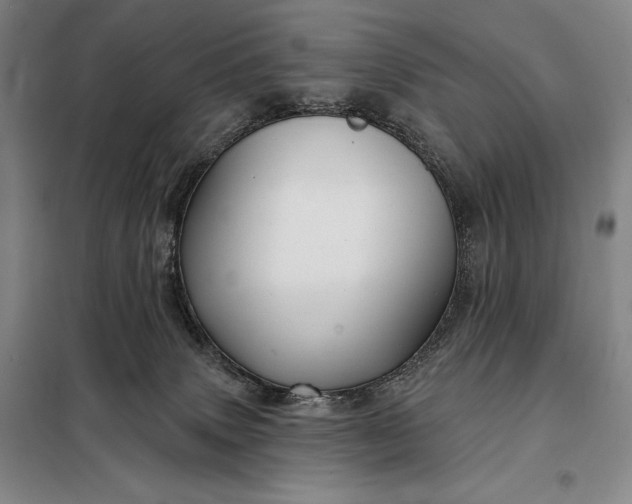 X0000098130083200805011330