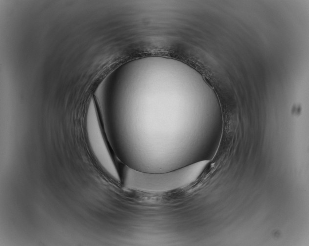 X0000098130084200805011330