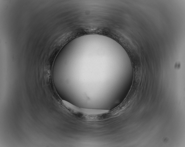 X0000098130085200805011330