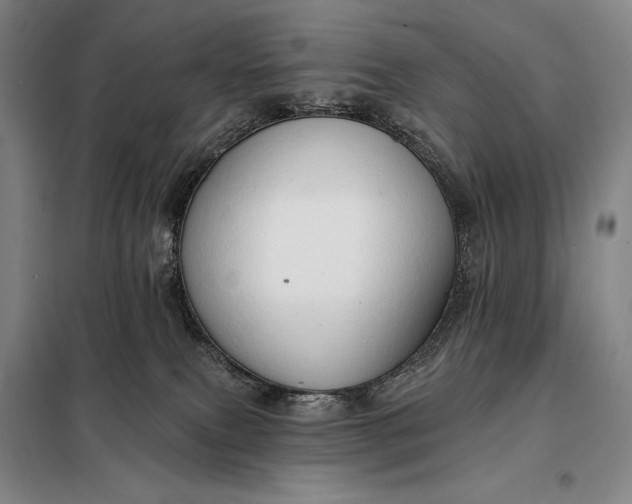 X0000098130087200805011330