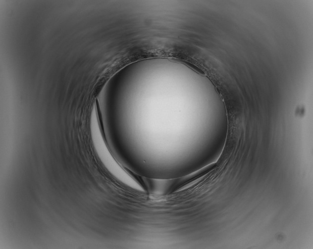 X0000098130088200805011330