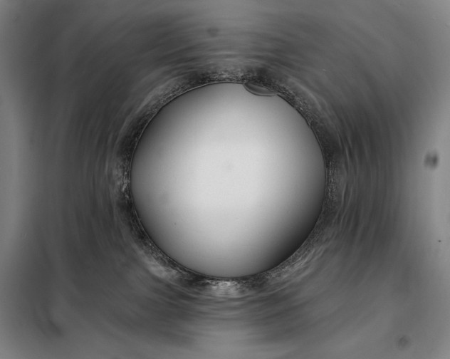 X0000098130091200805011330