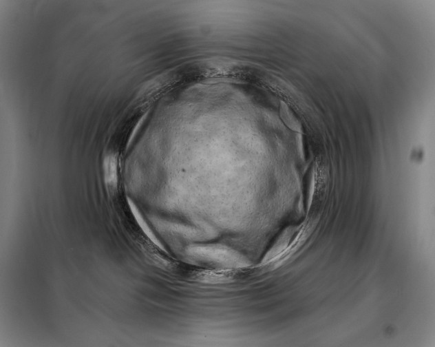 X0000098130094200805011330