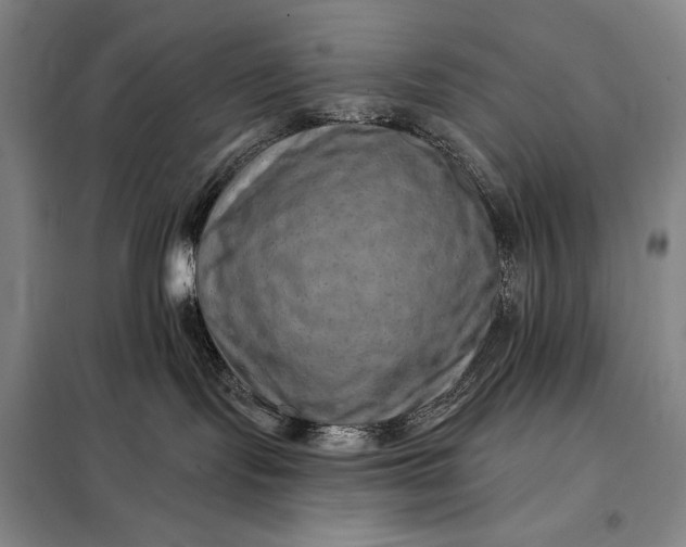 X0000098130095200805011330