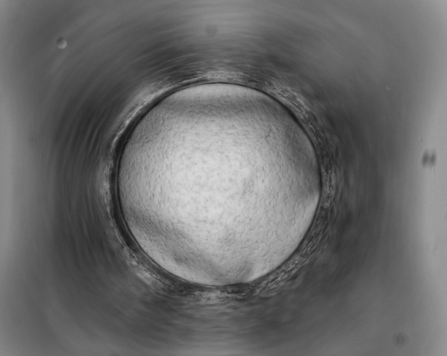 X0000098130098200805011330