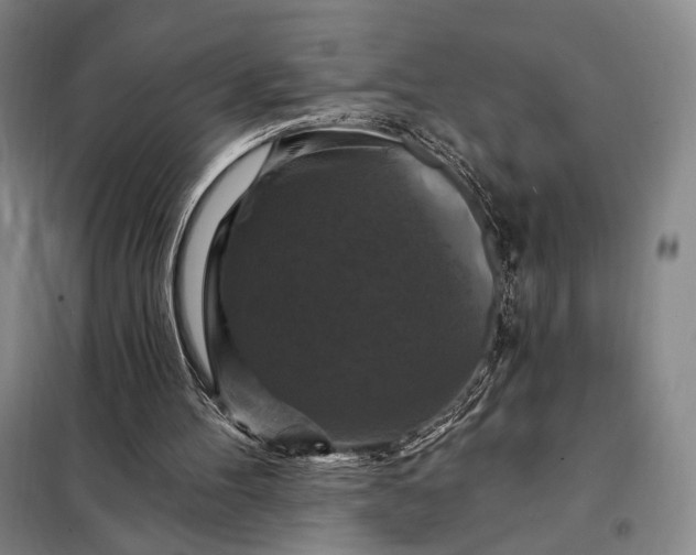 X0000098130100200805011330