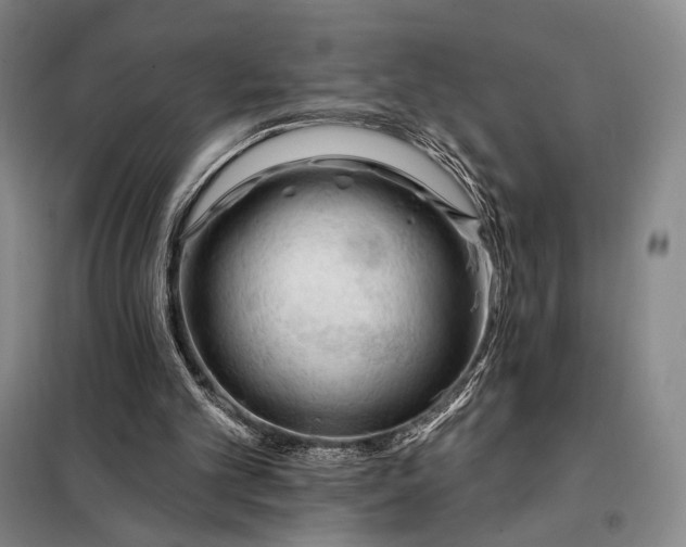X0000098130101200805011330