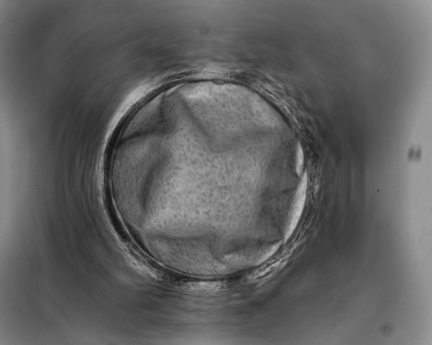 X0000098130102200805011330