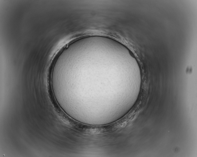 X0000098130103200805011330