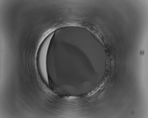 X0000098130104200805011330