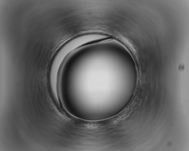 X0000098130105200805011330