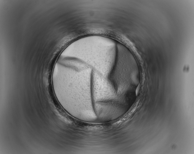 X0000098130106200805011329