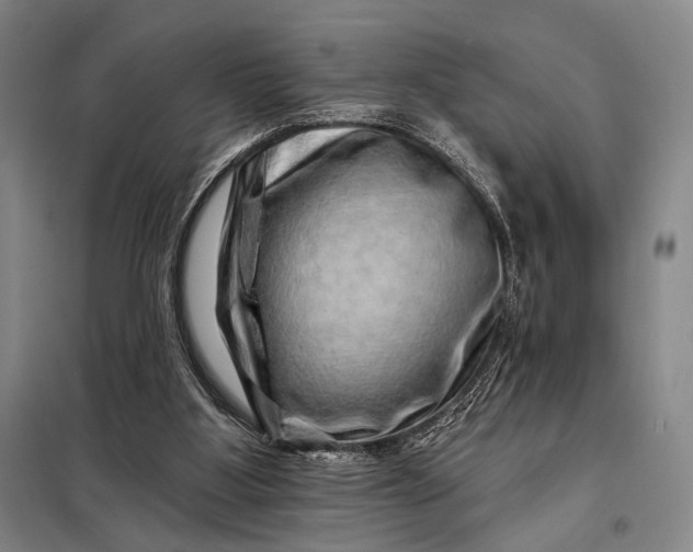X0000098130107200805011329