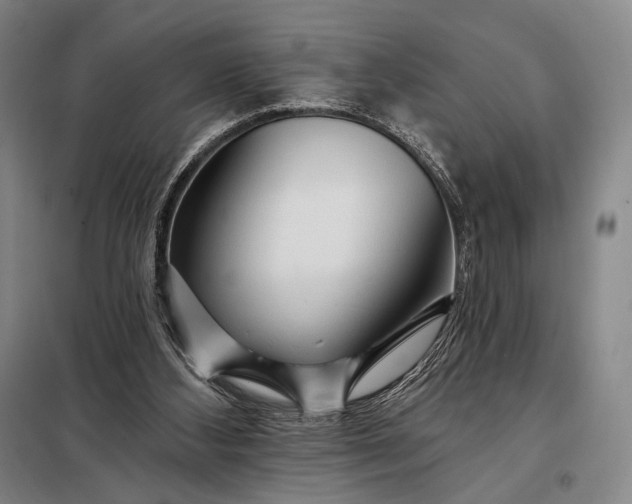 X0000098130108200805011329