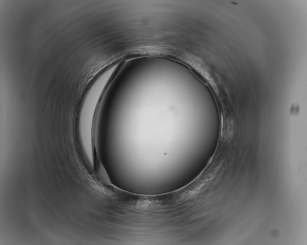 X0000098130109200805011329