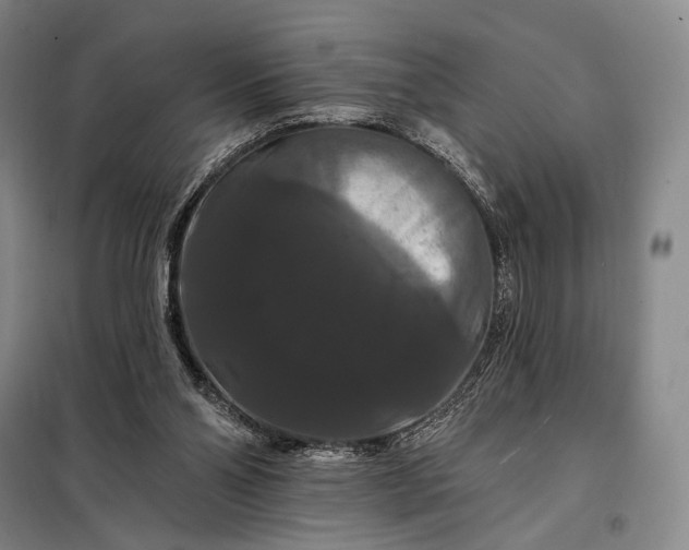 X0000098130110200805011329