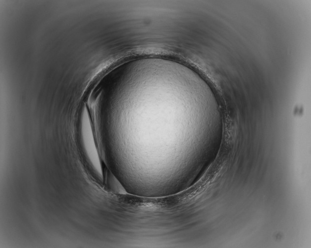 X0000098130111200805011329
