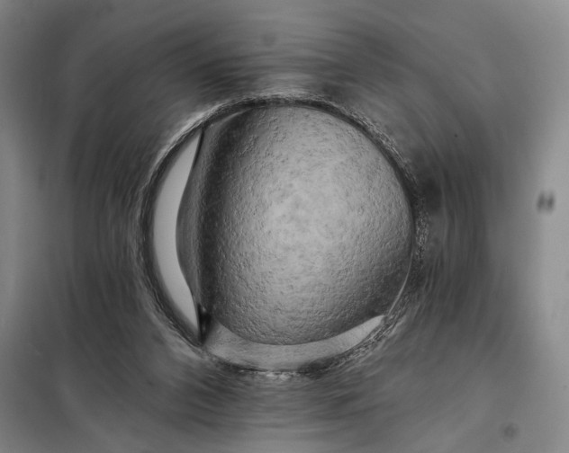 X0000098130112200805011329