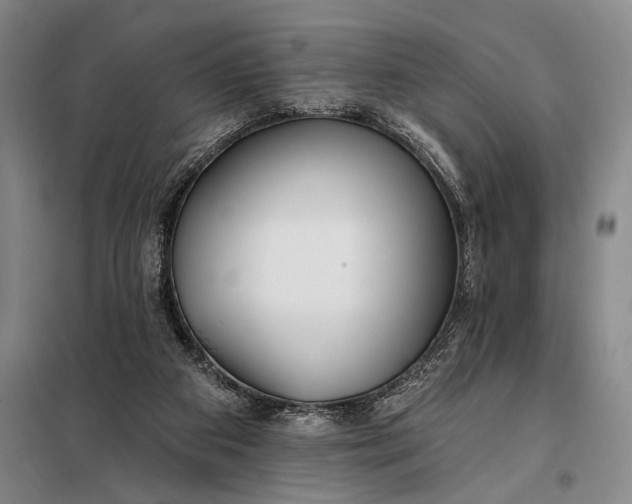 X0000098130113200805011329