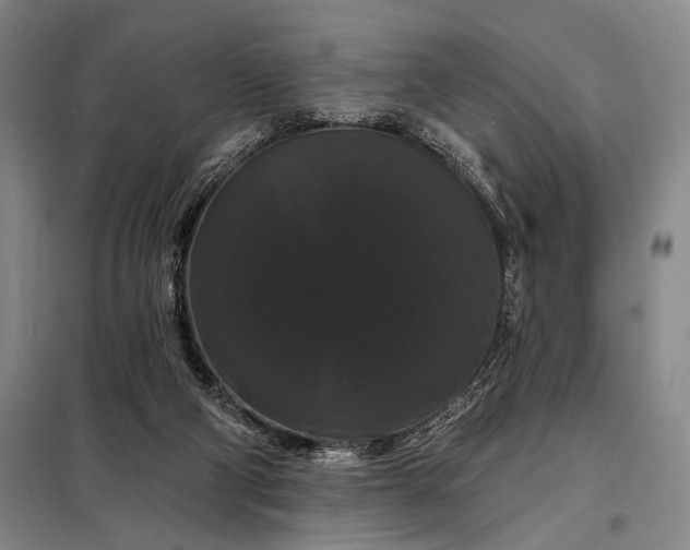 X0000098130114200805011329