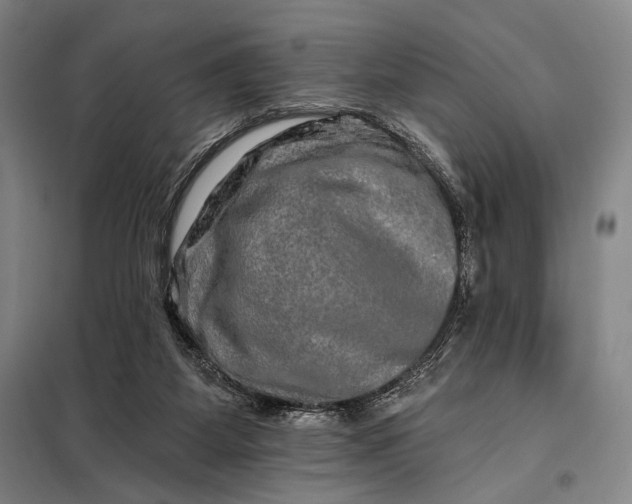 X0000098130115200805011329