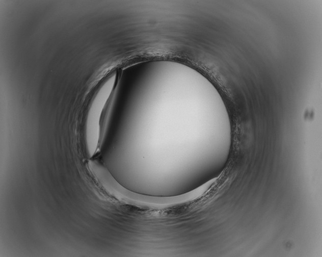 X0000098130116200805011329