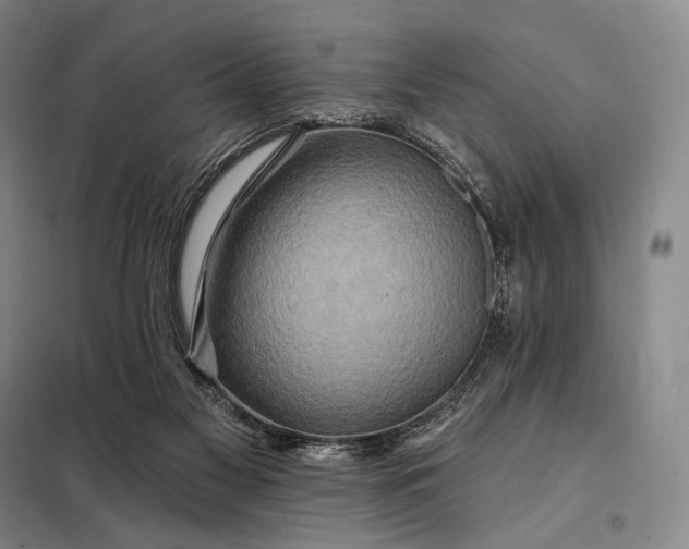 X0000098130117200805011329