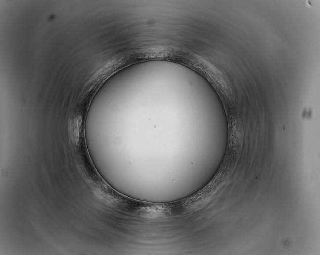 X0000098130118200805011329