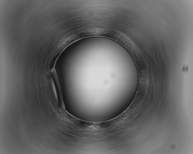 X0000098130119200805011329