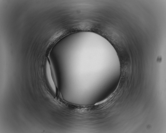 X0000098130120200805011329