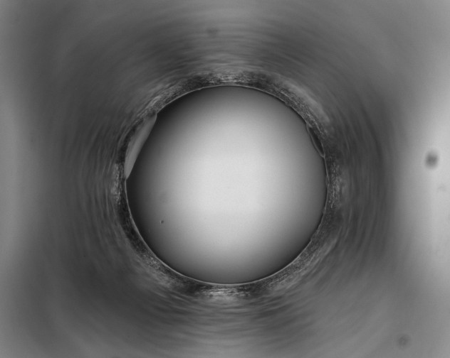 X0000098130121200805011329