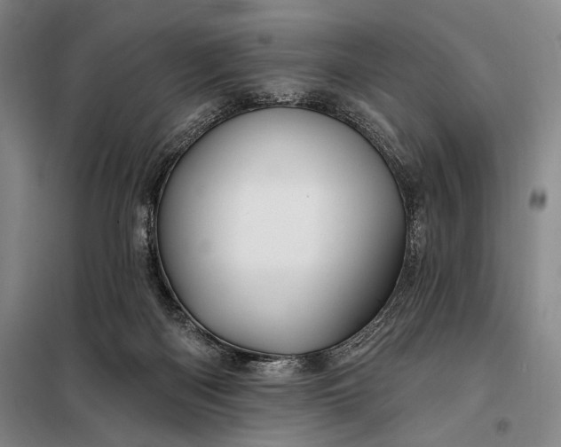 X0000098130122200805011329