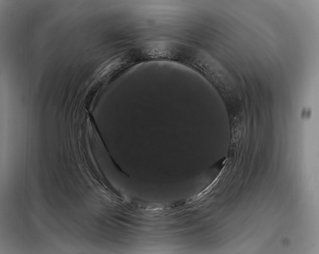X0000098130124200805011329
