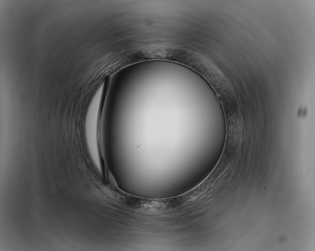 X0000098130125200805011329