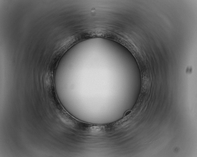 X0000098130126200805011329