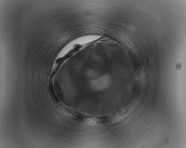 X0000098130127200805011329