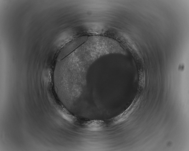 X0000098130128200805011329