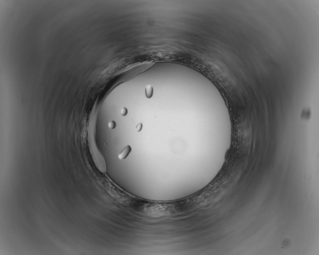 X0000098130129200805011329