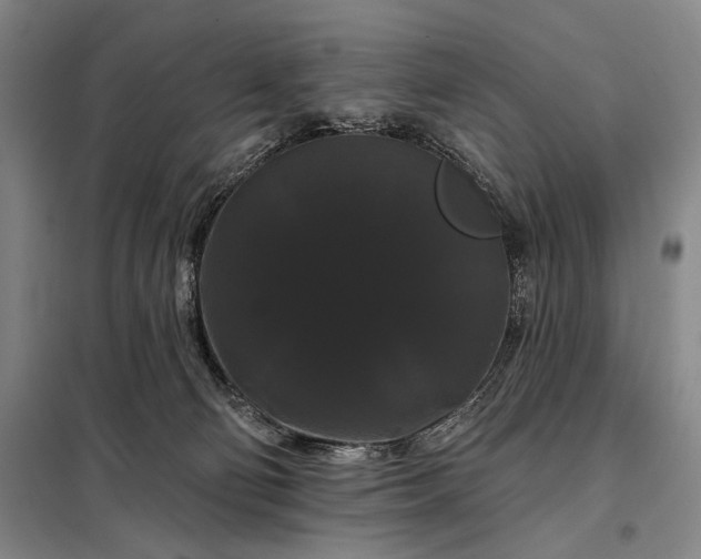 X0000098130130200805011329