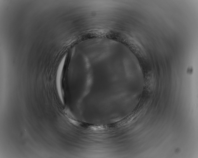 X0000098130131200805011329