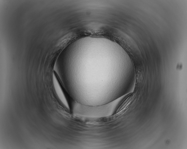 X0000098130132200805011329