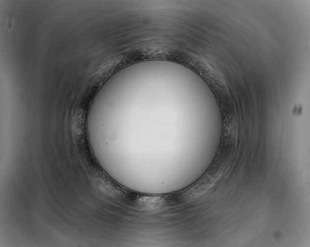 X0000098130133200805011329