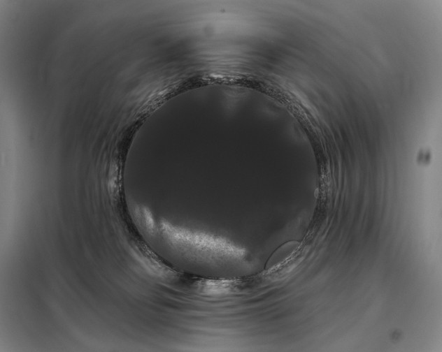 X0000098130134200805011329