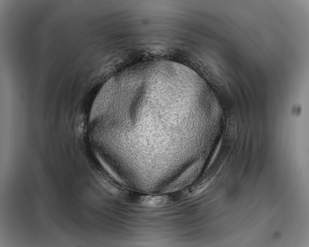 X0000098130135200805011329