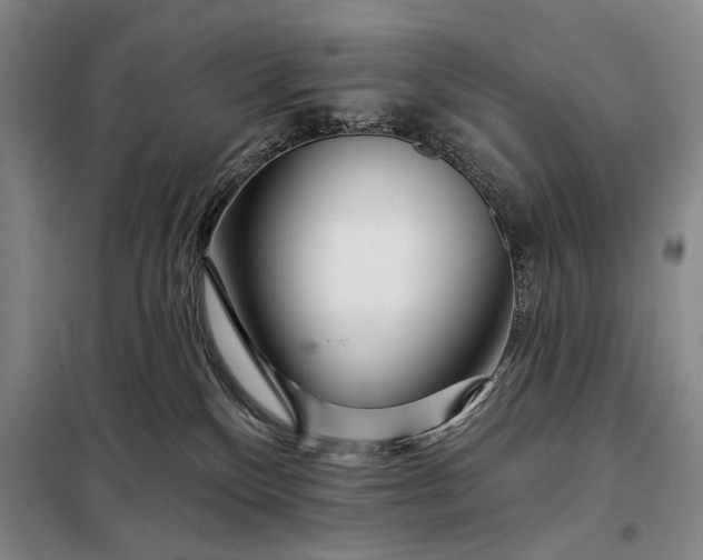 X0000098130136200805011329