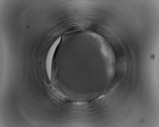 X0000098130137200805011329