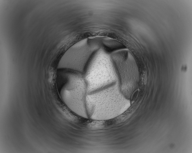 X0000098130138200805011329
