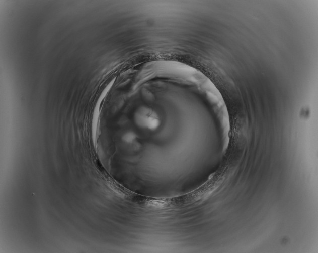 X0000098130139200805011329